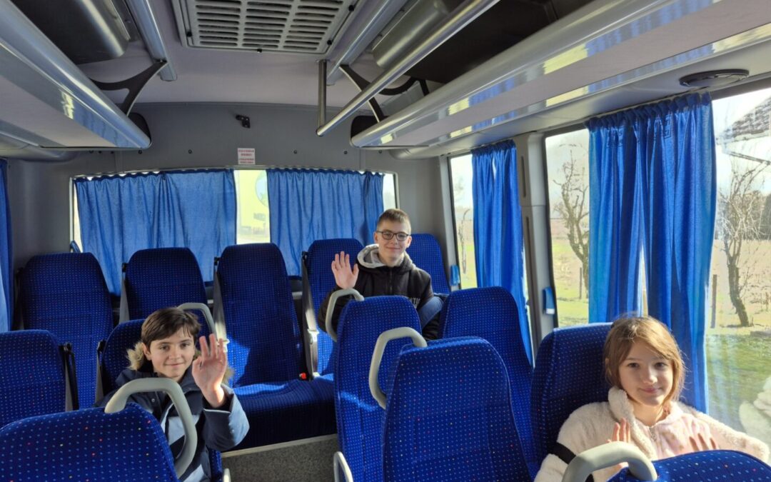 Županijska razina natjecanja iz Informatike